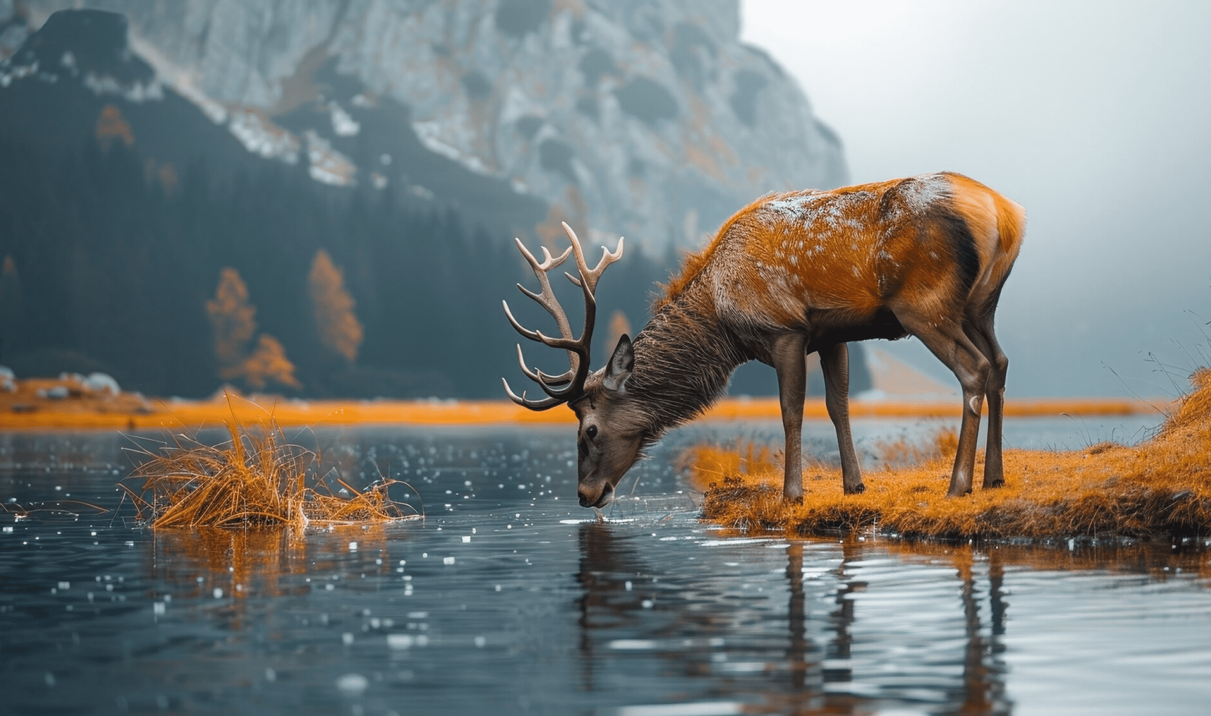 Pertajam Gambar Online Gratis